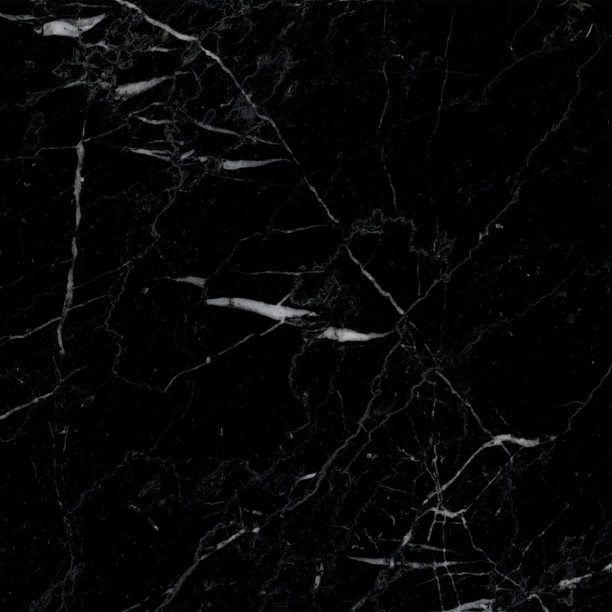 black marquini price